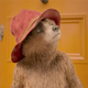 Screencap from Paddington 2 trailer